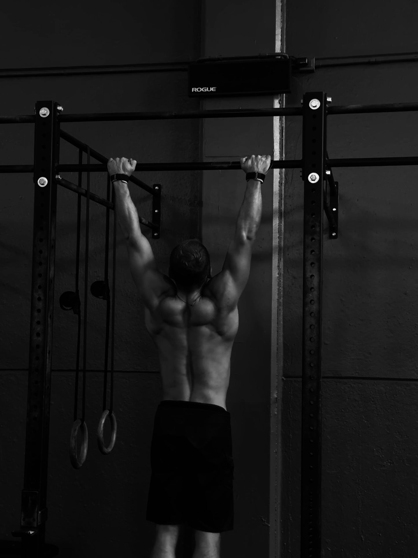 FONDAMENTA - subscription