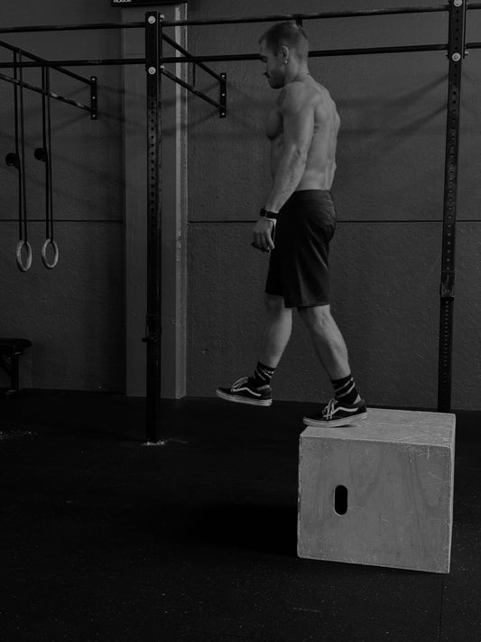 PURE HYBRID - 4 mesi