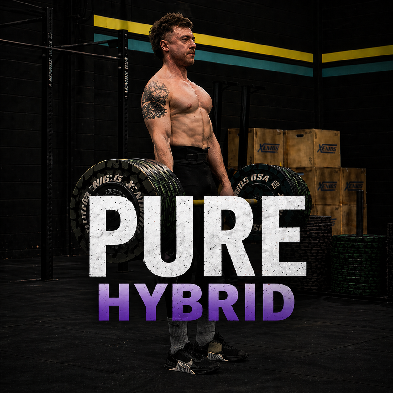 Immagine relativa alla programmazione Pure Hybrid